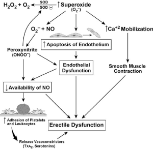 Can Hydrogen Peroxide Help Erectile Dysfunction?