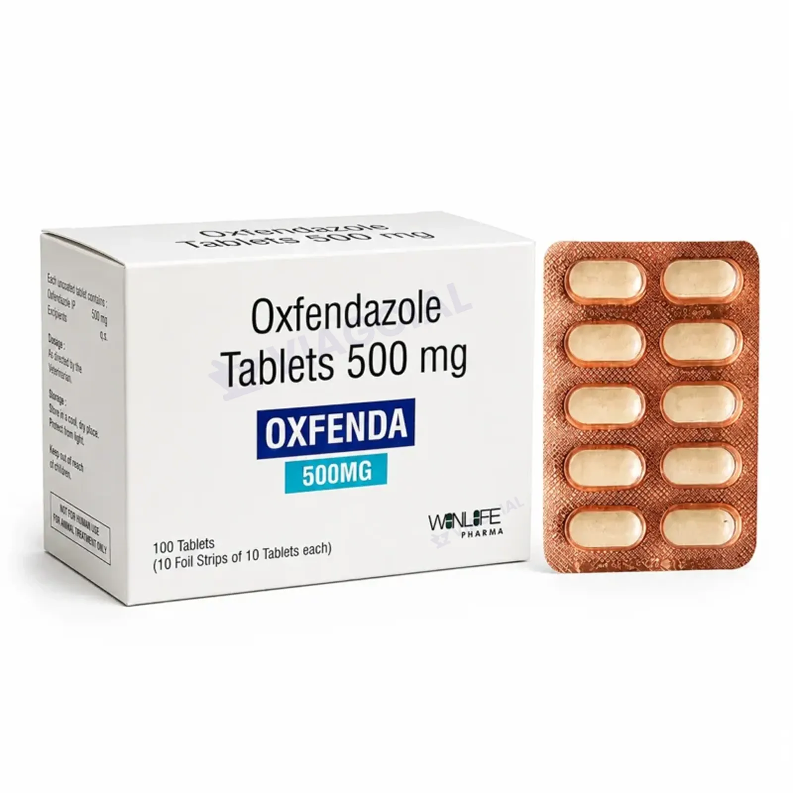 Oxfenda - Oxfendazole 500mg 1 Oxfenda - Oxfendazole 500mg
